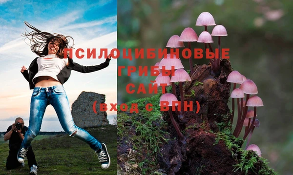 каннабис Балахна