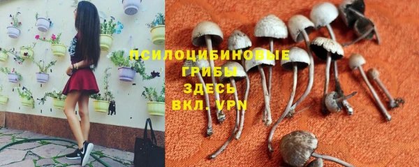 каннабис Балахна