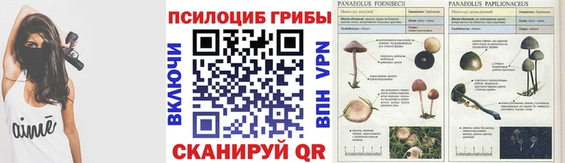 Галлюциногенные грибы мицелий  Купить закладки  Суоярви 